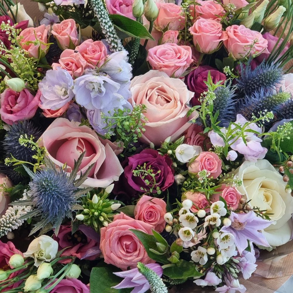 The Signature Collection