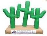 Cactus Hoopla Game