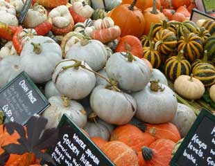 gourds