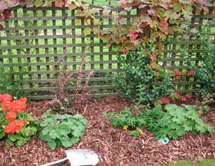 border with membrane and bark mulch