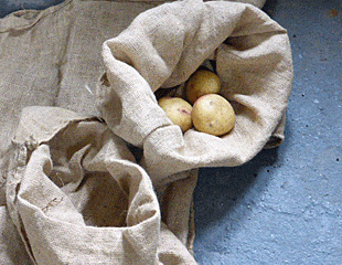 Hessian sacks for storing Potatoes