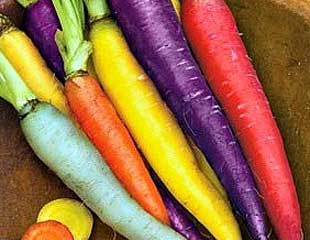 Carrot rainbow mix