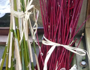 Cornus and Bamboo plant stakes