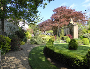 Grange court lovely copper beeches