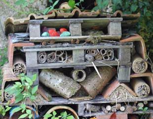 Bug hotel