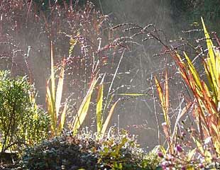 Steamy pond in Autumn