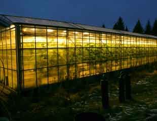 Glasshouse-in-Iceland-