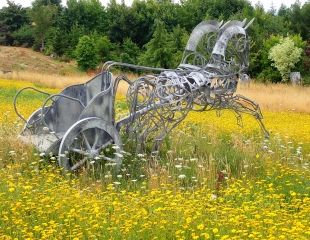 Chariot in wild flower meadow 