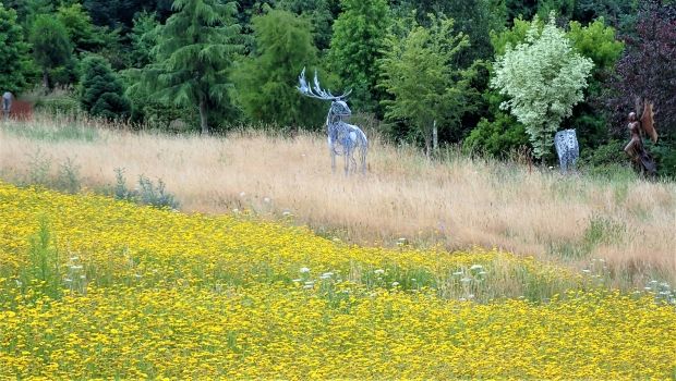 deer Sculpture in wildflower meadow 