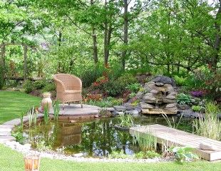 Restful pond with seating