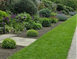 Classic herbacious border