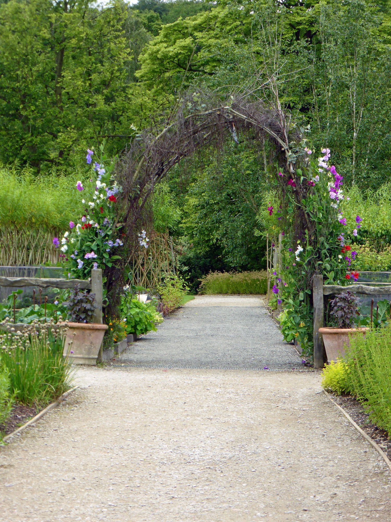 lovely sweet pea arch made out of wood prunings situated in an RHS garden