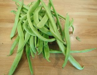 pickedrunner  beans 