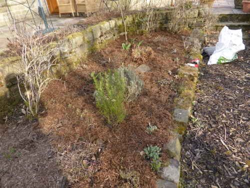 mulching the borders 