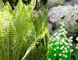 Shady border combination