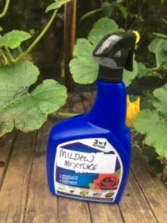 Mildew mixture