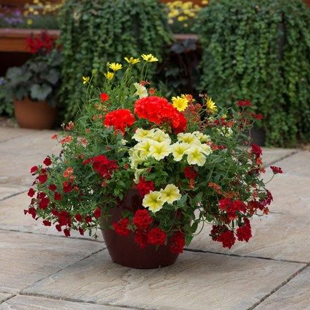 summer bedding
