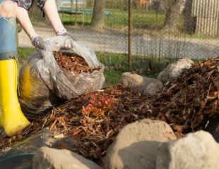 Mulching a border