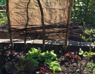 Shade made from Hessian sacks