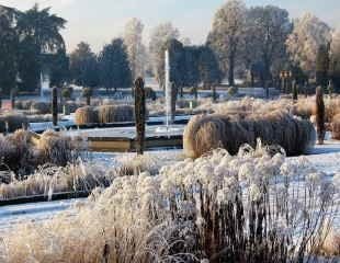 Italian garden in winter at Trentham gardens