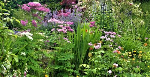 What is an herbaceous garden border