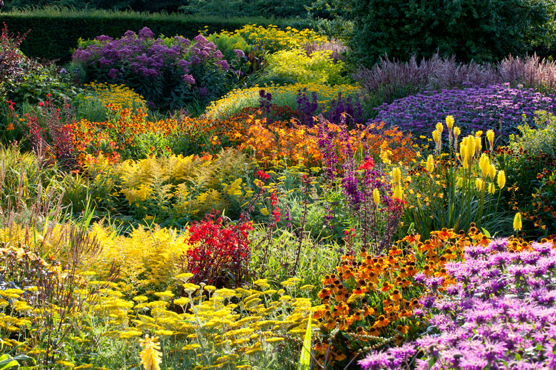 herbaceous border