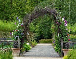 RHS Harlow carr arch made for sweet peas