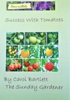 Succes with tomatoes a book by the sunday gardener