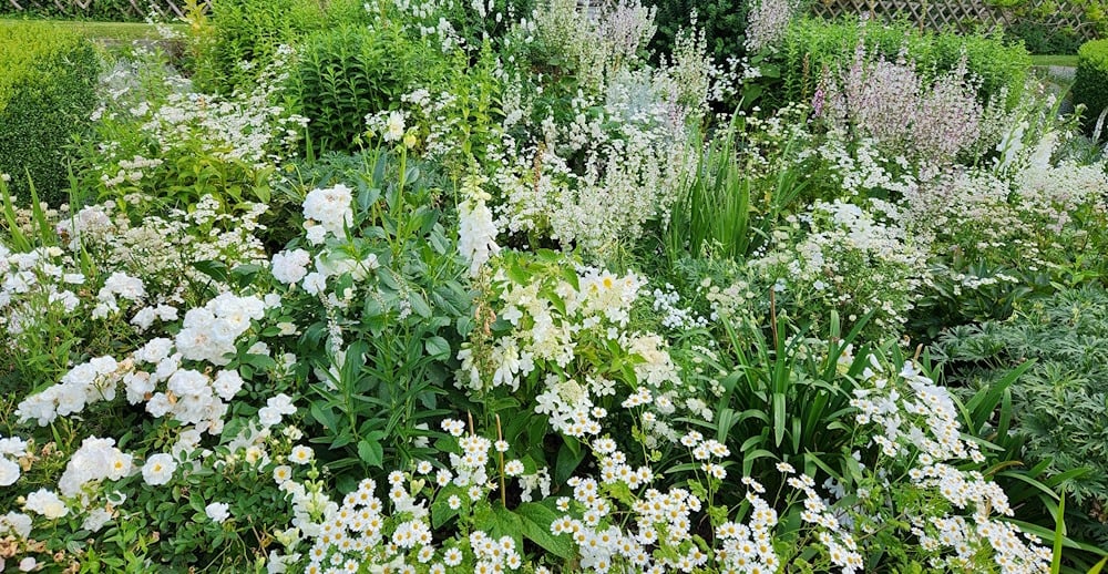 White border at Easton Walled garden