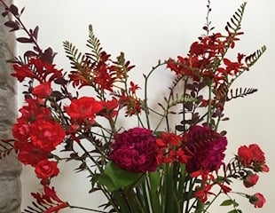 Crocosmia in Vase