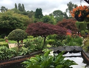 mixed planting at 221 Markfield Road
