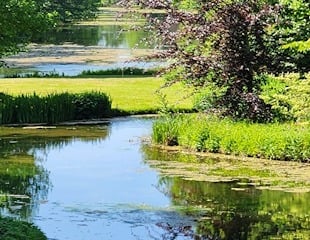 Beautiful lakes.jpg