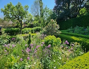 colourful planting.jpg