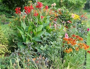 Colourful boarder planting.jpg