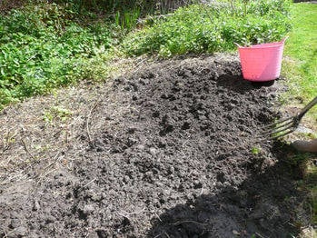 step 1 clear a suitable patch weed free