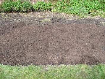 step 2 rake it well to fine soil