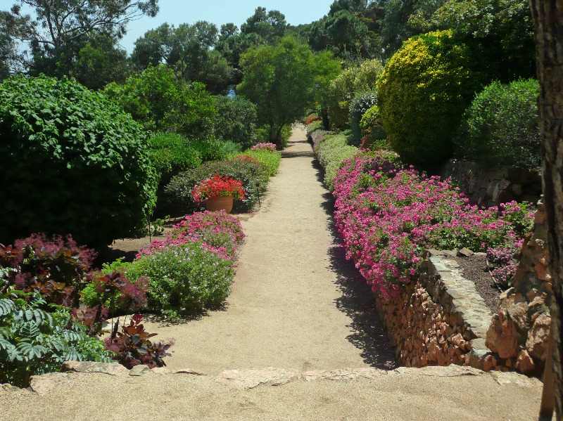 Pelargonium walk in Cap Roig