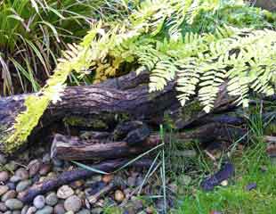 Natural log pile