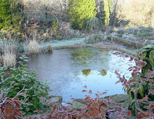 冬天结冰的池塘