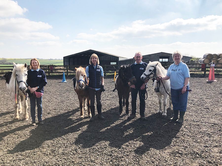 rda ponies and volunteers