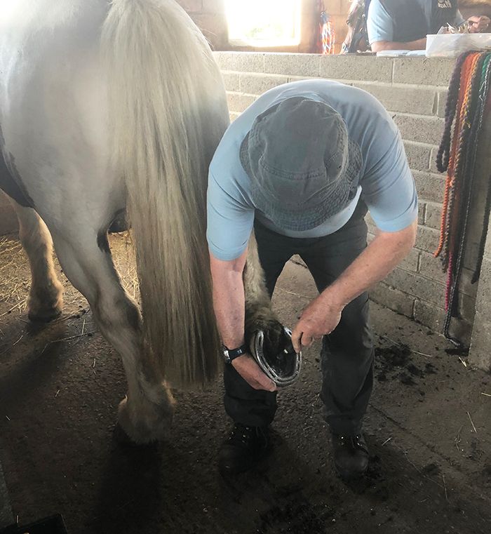 cleaning out a hoof