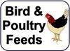 Bird & Poultry Feeds