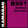 Kamasan B981 barbless specimen hooks.