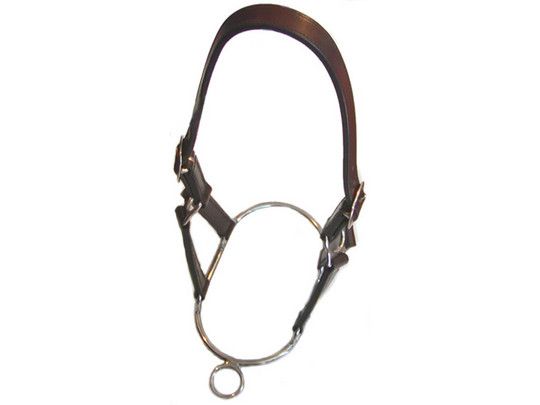 Stephens Controller Headcollar