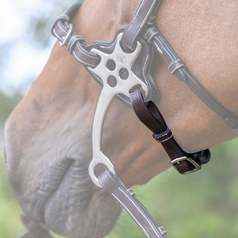 Leather Curb Strap for Hackamore