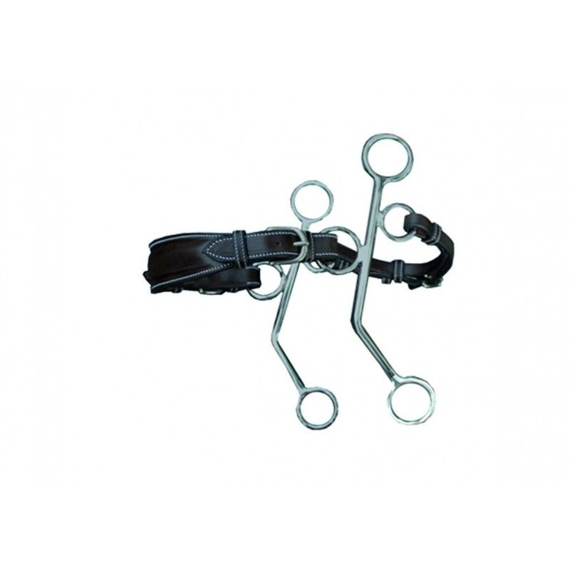Jump'In Short Cheek Hackamore