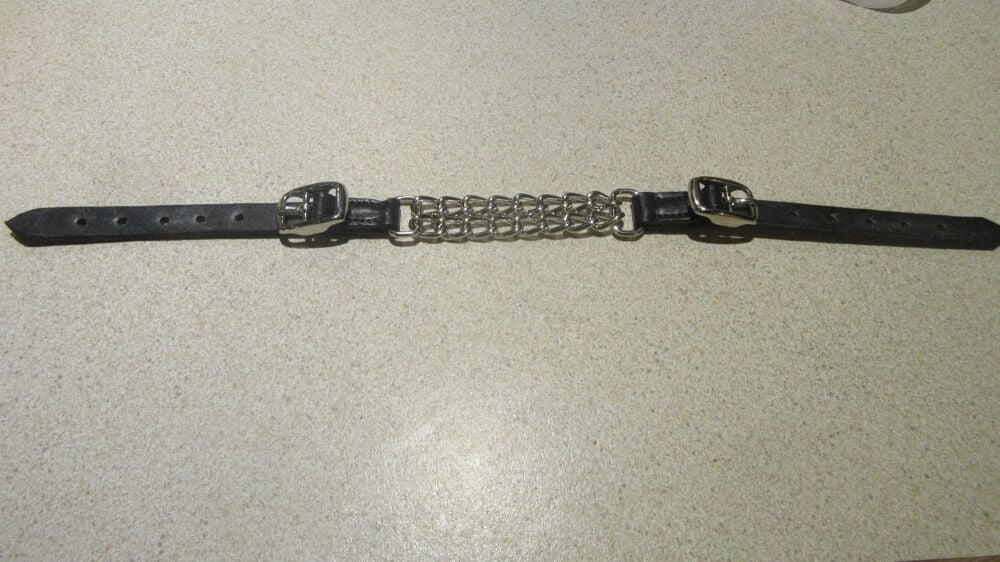 Double Chain and Leather Curb Strap