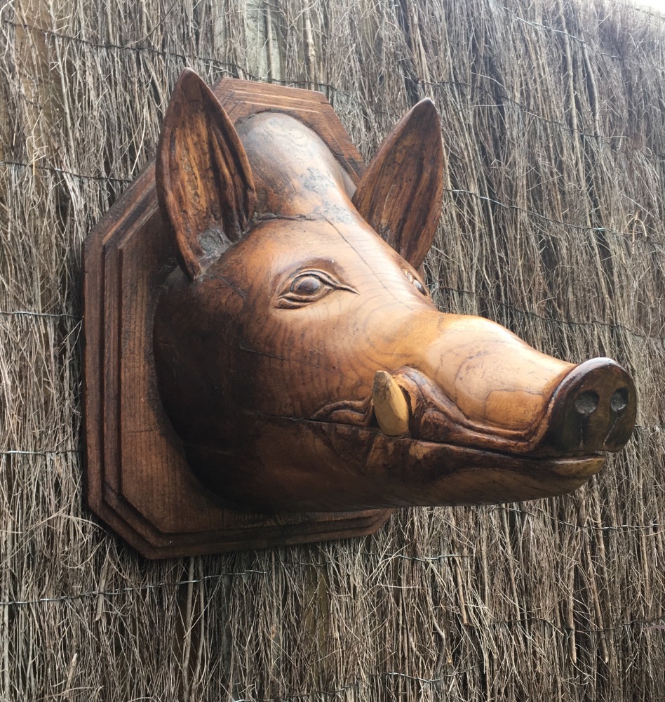 A Fun Folk Carved Elm Butchers Sign Depicting a Boars Head Circa 1900 SOLD