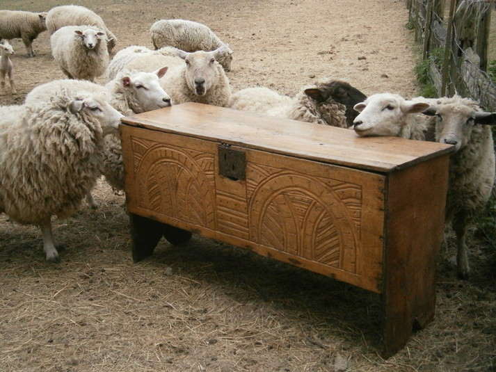 sheep board chest