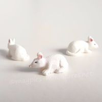 White Rat / Mouse